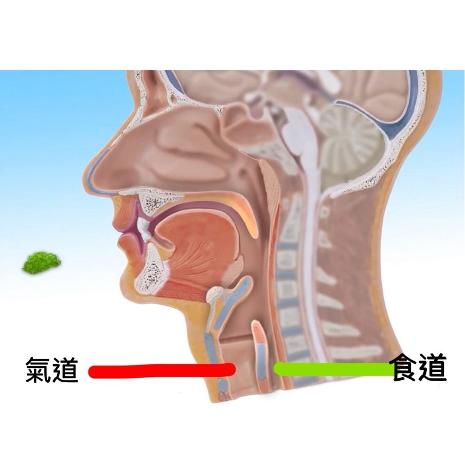 ch1-12-p1.jpg