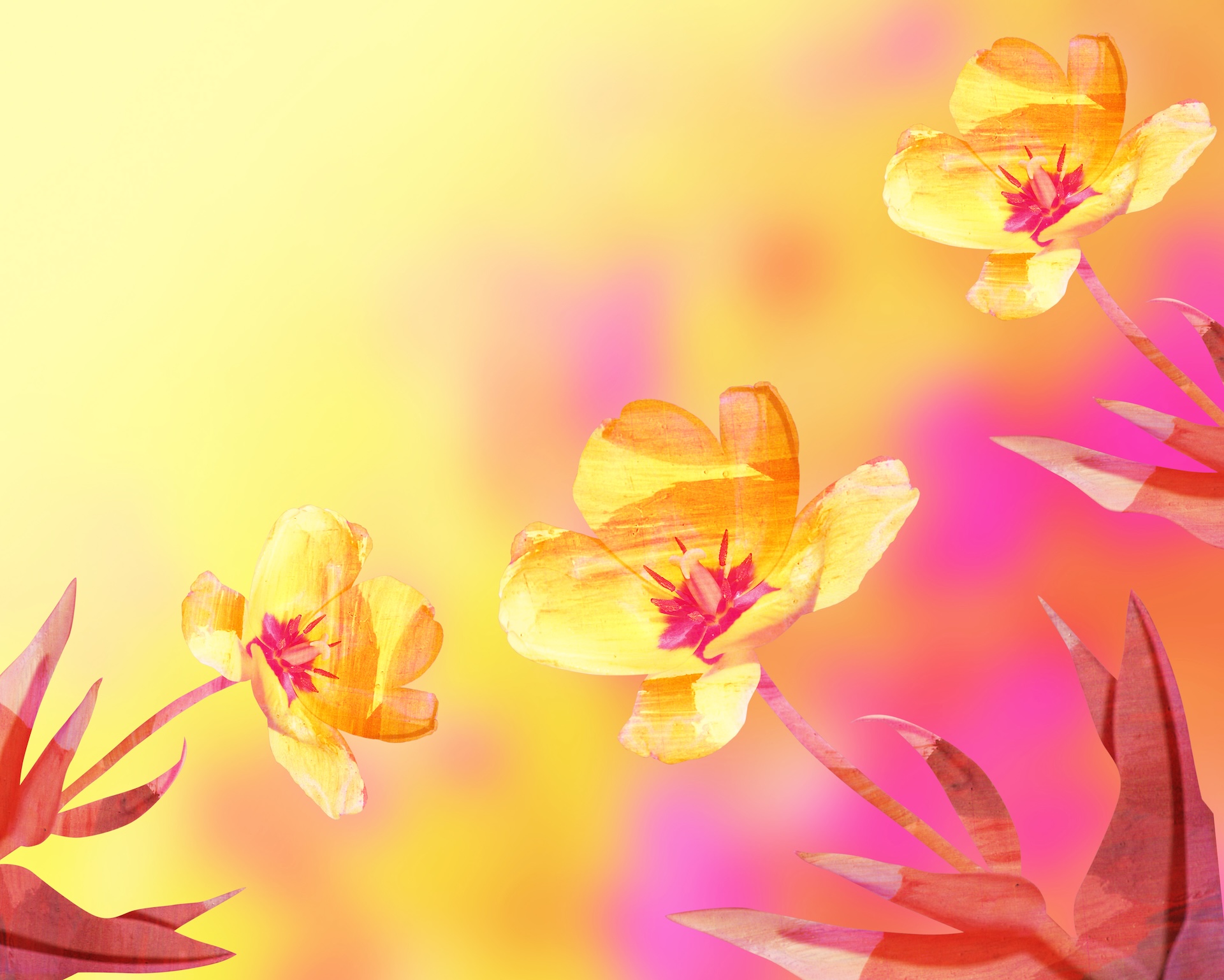  shutterstock_161204213.jpg