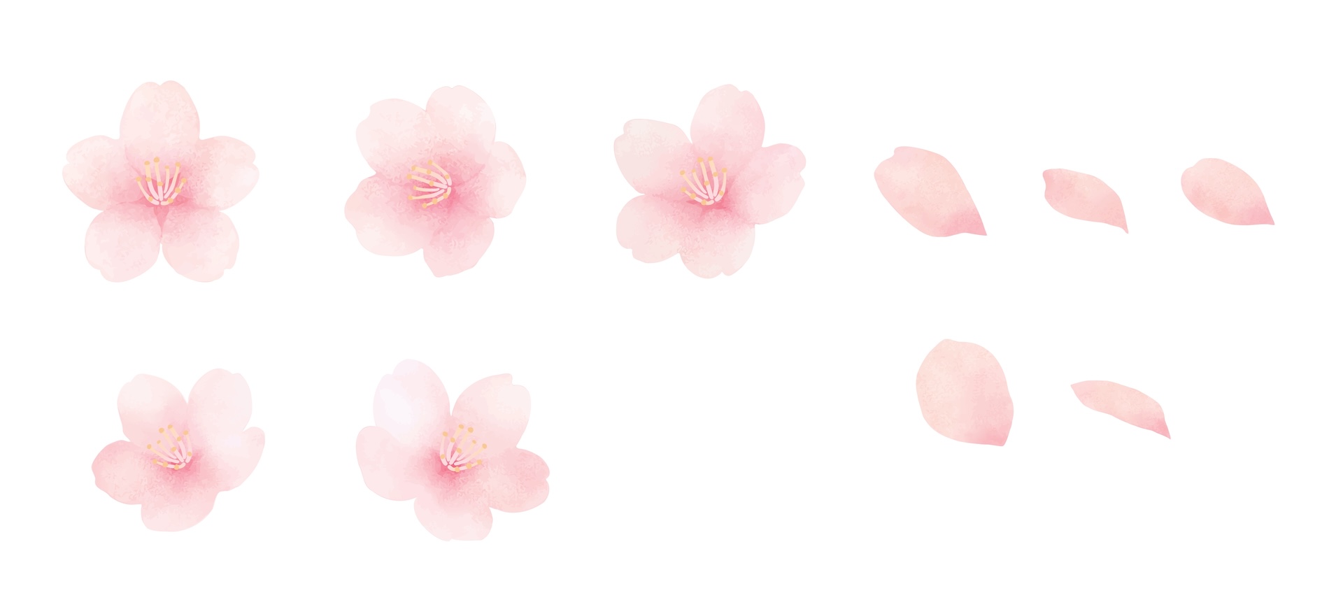 shutterstock_2411354103.jpg