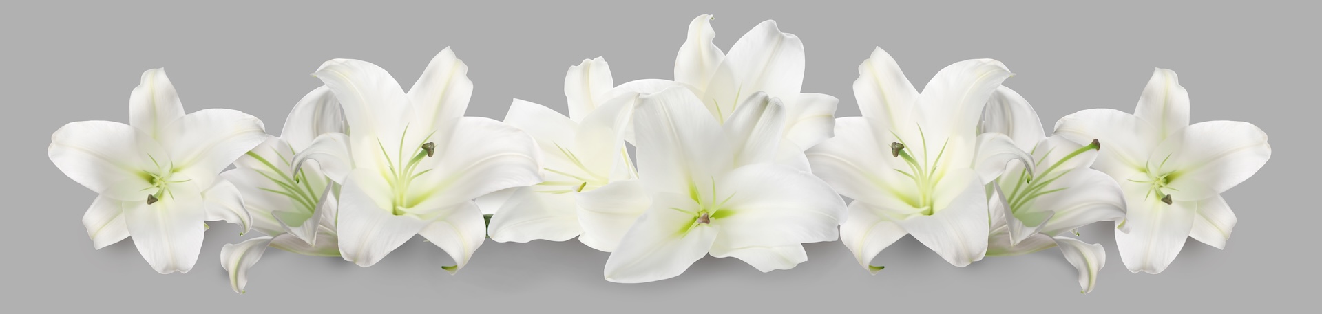  shutterstock_2630445577.jpg