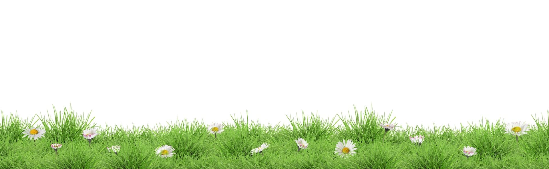  shutterstock_2745962887.jpg